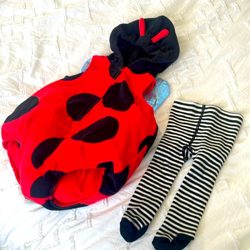 Carter’s Lady Bug Costume.